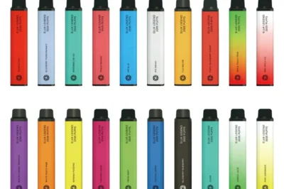 Elevate Your Vaping Experience: A Comprehensive Review of Premium Disposable Vapes